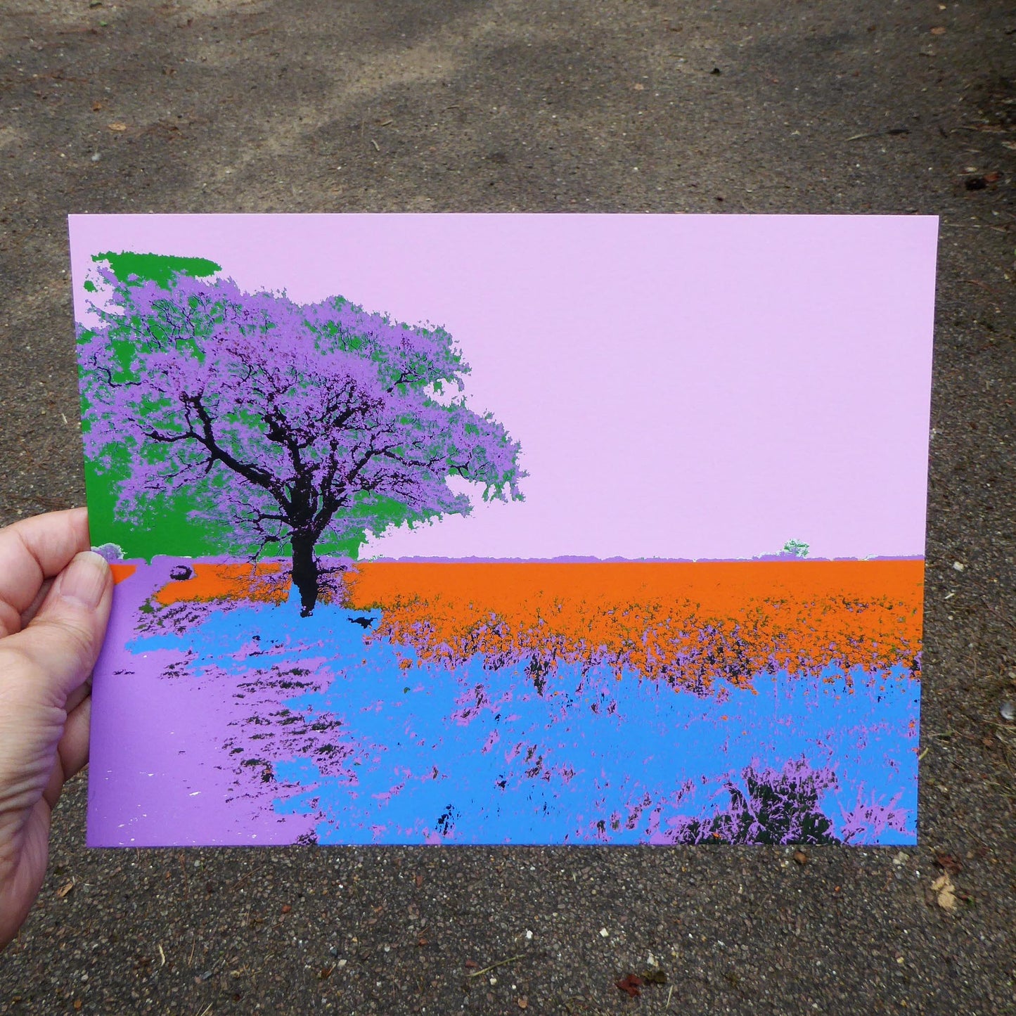Norfolk Landscape Study Pink - Manipulated photograph - by Norfolk based artist - Debbie Osborn