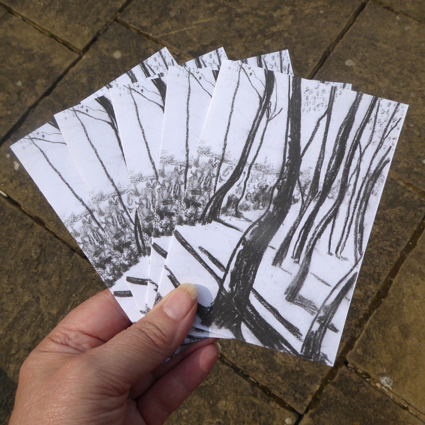 Note Cards - Pack of Five - Winter Tree Study - reproduction of original charcoal drawing - Recycled - Handmade - by Norfolk based artist Debbie Osborn