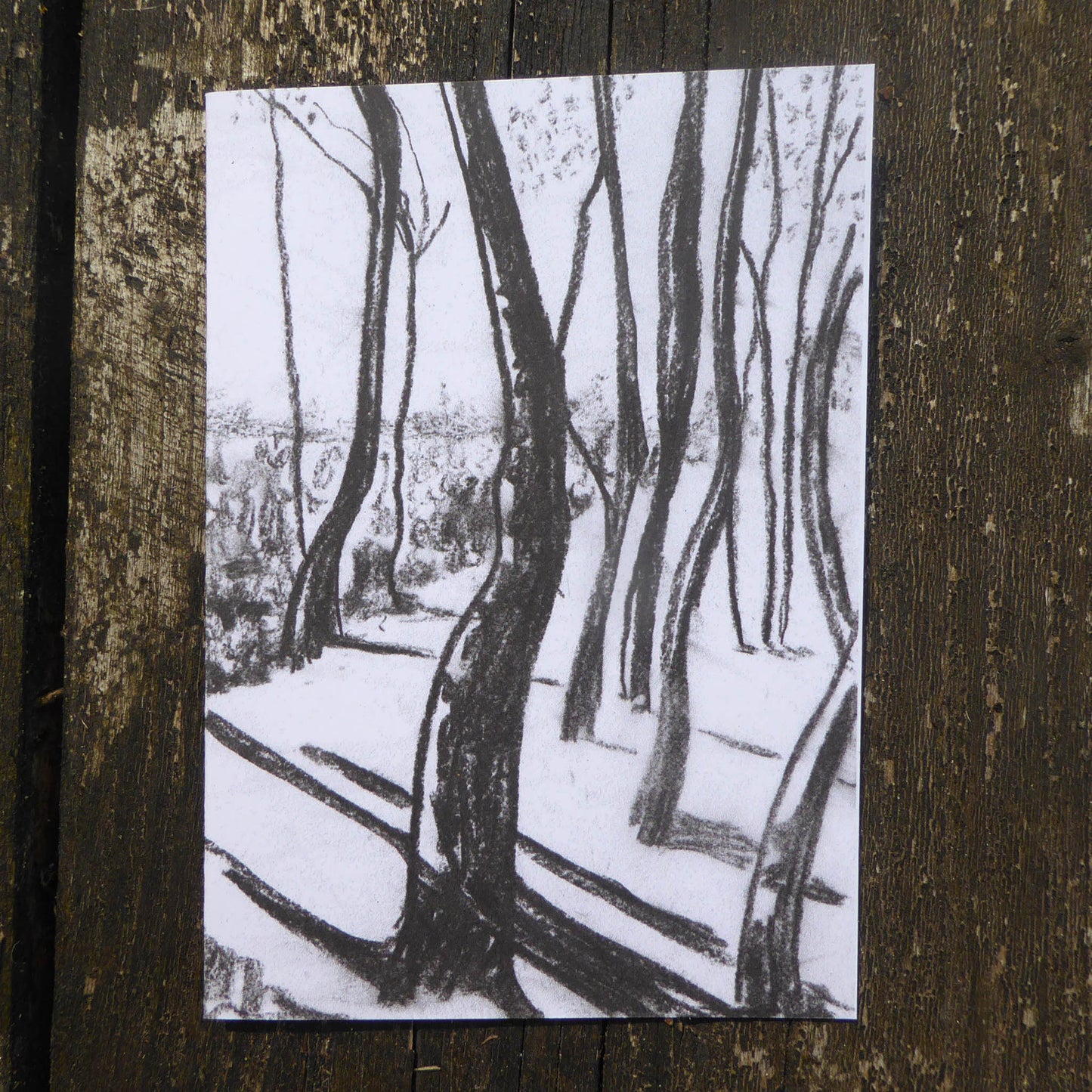 Christmas Cards - Pack of Five - Winter Tree Study - reproduction of original charcoal drawing - Recycled - Handmade - by Norfolk based artist Debbie Osborn