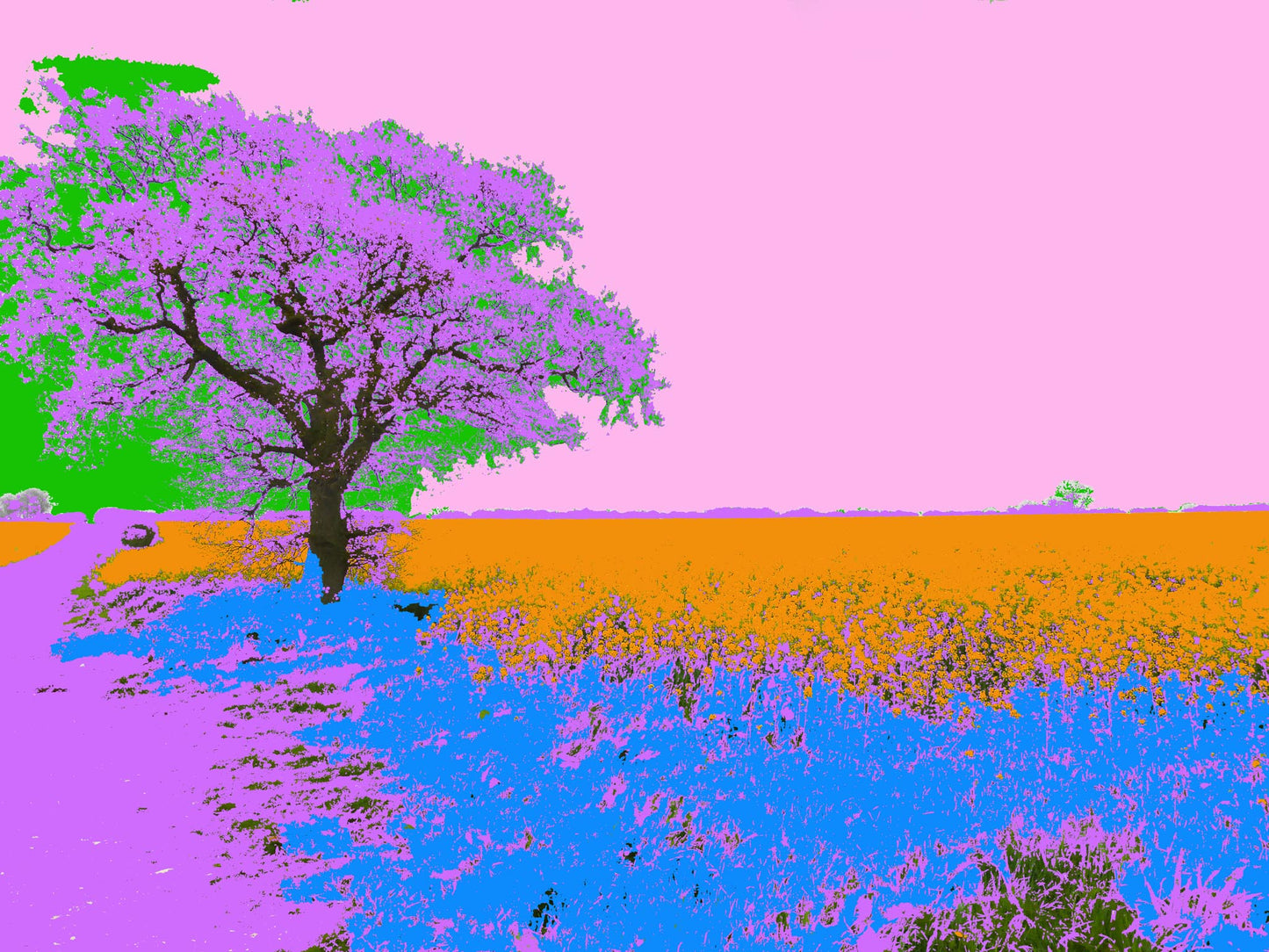 Norfolk Landscape Study Pink - Manipulated photograph - by Norfolk based artist - Debbie Osborn
